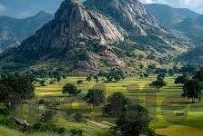 91麻豆传媒在线观看-探寻成人内容平台91麻豆传媒，理性视角下的信息分析