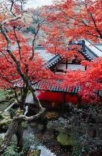 白晶晶果冻传媒第三部-探索白晶晶果冻传媒第三部的独特魅力