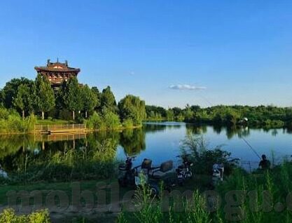 黄色麻豆视频-抵制网络不良内容的共治与思考，以黄色麻豆视频现象为鉴