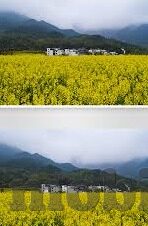 igao麻豆传媒-关于IGAO与麻豆传媒，网络审美文化的多维透视
