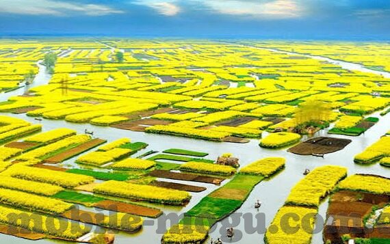 麻豆app入口-探索麻豆app入口，一个以美学为核心的平台