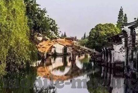 麻豆传媒女主-麻豆传媒，诱人表象下的道德与法律之界