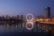 麻豆传媒贴纸-麻豆传媒贴纸——创意与艺术的完美邂逅