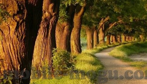 神马伦理片热门轮理236宅宅网-探索网络伦理的灰色地带，对热门轮理236宅宅网的反思