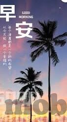 vlog糖心网站入口-追踪数字时代的潮流，Vlog糖心网站