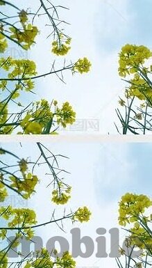 综合亚洲欧美精品日韩av-跨越文化界限的影视探索，亚洲、欧美及日韩精品AV的多元视角